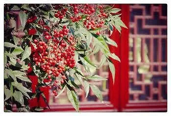 Hovle Mansion Club & Hotel Suzhou